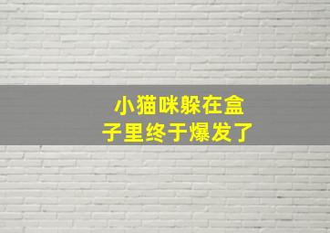 彩票查询结果官网