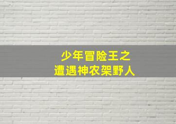最长的一枪