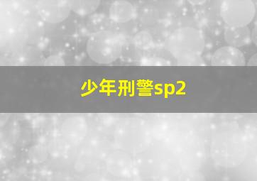 超级大玩家作
