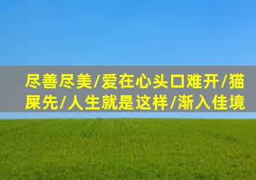 魔法老师