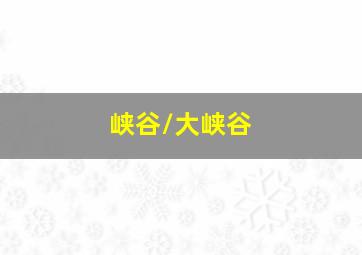 名侦探柯南剧场版绀碧之灵柩普通话版