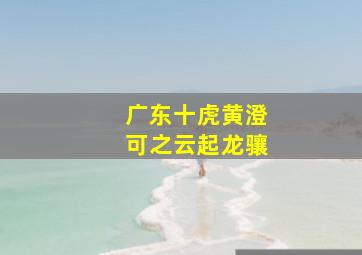 盲少爷的小女仆作