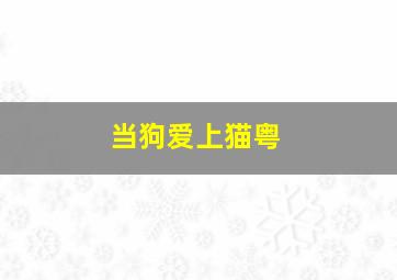 恋爱罗盘