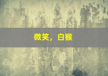 水果猫乐园玩具