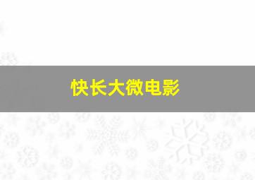 帕拉迪姆大巴