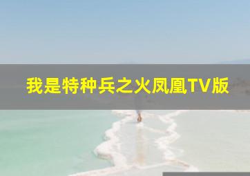 魔法少女奈叶粤语版