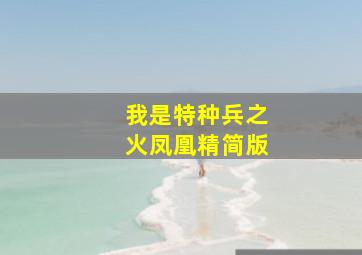 大雨成灾作