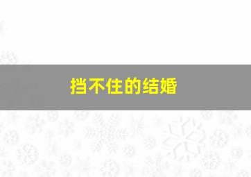 森林的光