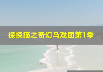 美术小天地