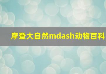 深夜姐妹会作