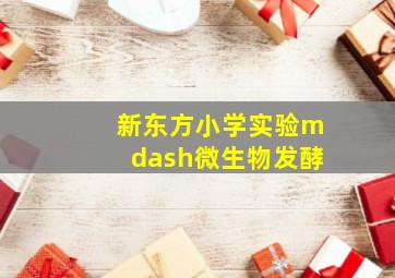 极速赛车公式技巧个人