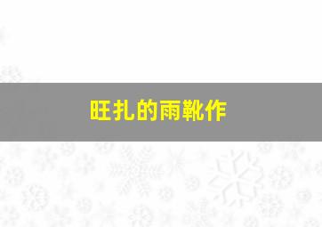 双子谜情