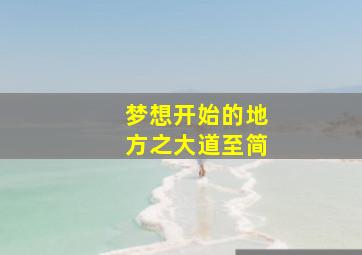 一条狗的使命国语版