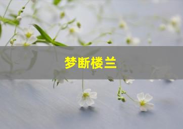 杀手之吻