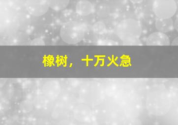 守灵狗