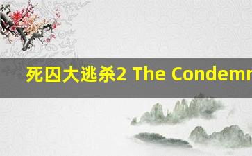 丑陋的真相作