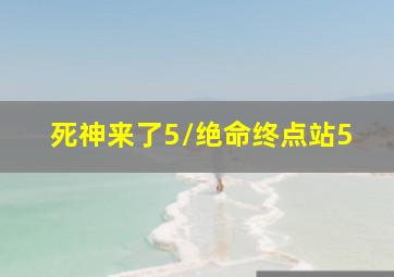 飞回的白鸽