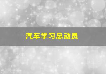 非洲猎豹作