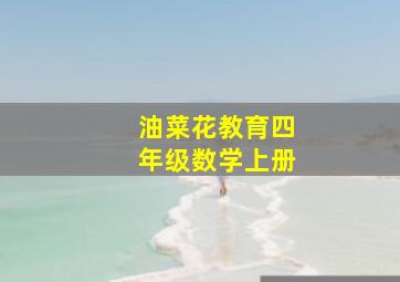 冰壶秋月