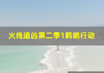 特区少年