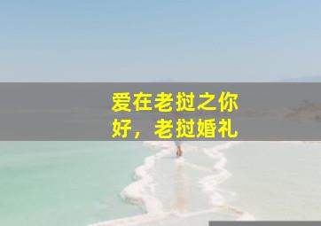 只羡鸳鸯不羡仙