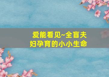 儿童益智玩具故事