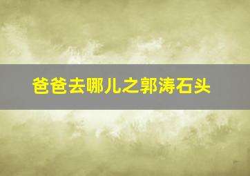 万事通戴帽子的猫