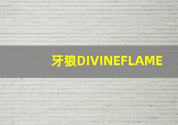 大尾鲈鳗