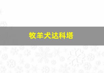 求爱大作战