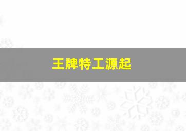国家要案作