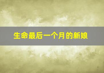 小马宝莉友谊大赛