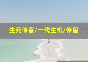 杀戮都市O作