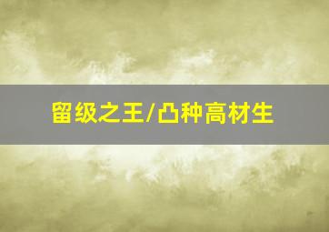 丁丁历险记第二季