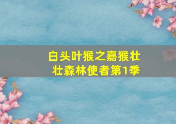 葵花劫