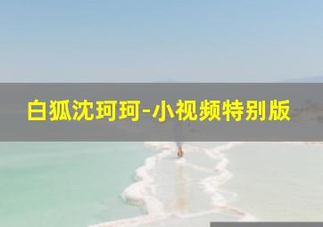 史酷比！格斗狂热迷
