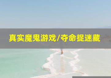 巴布工程师S6