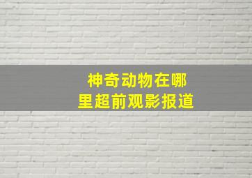 不可磨灭