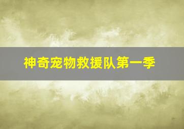 168彩票开奖网官网