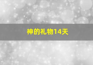 金装律师第4季