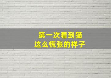 汪汪队立大功第5季