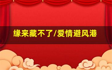 smallfoot乐格玩具