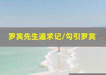 大理寺日志