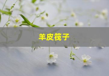 15选5开奖结果走势图新浪预测最新