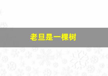 爱芘公主Abbie