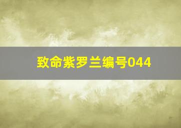 南极料理人作