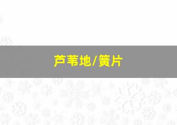 打拐天使索韦托
