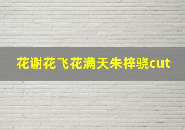 金钻鼠王