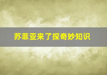 大城小爱第二季