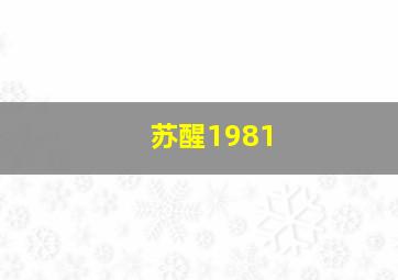 葬礼之王/麻烦