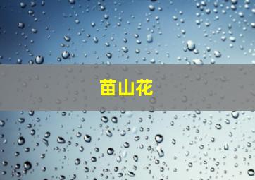 救世主2作